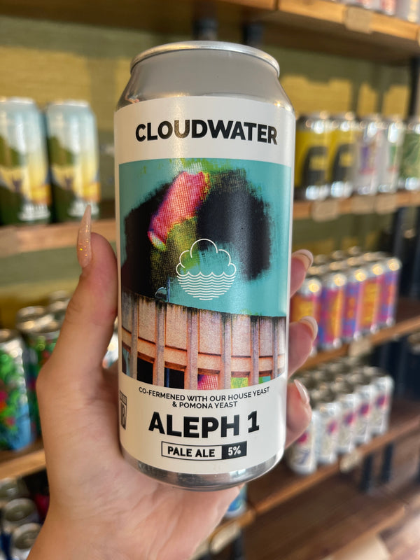 Cloudwater Aleph 1
